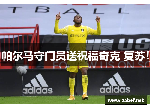 帕尔马守门员送祝福奇克 复苏！